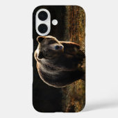 Berin Case-Mate iPhone Case (Achterkant)