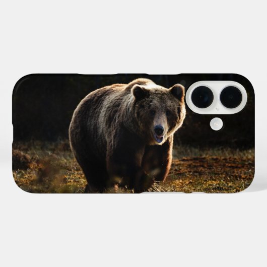 Berin Case-Mate iPhone Case (Achterkant (horizontaal))