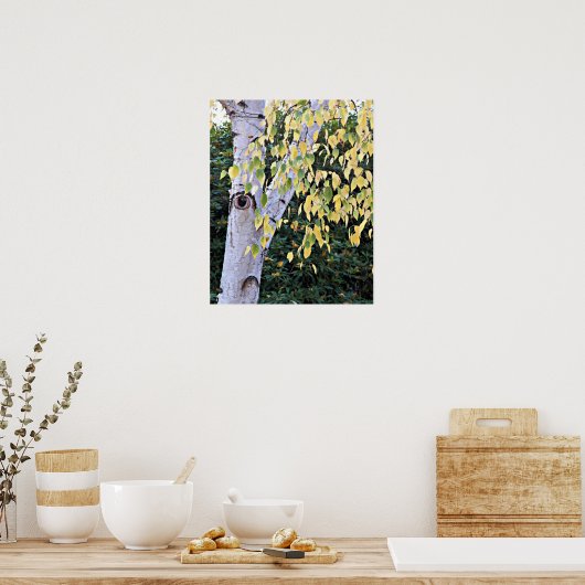Berk Boom Gezicht Natuur Poster (Keuken)