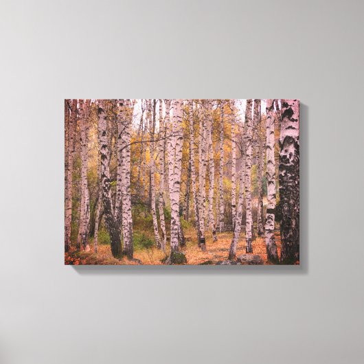 berk bos herfst foto single canvas afdruk (Voorkant)