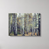 berk bos herfst foto single canvas afdruk (Voorkant)