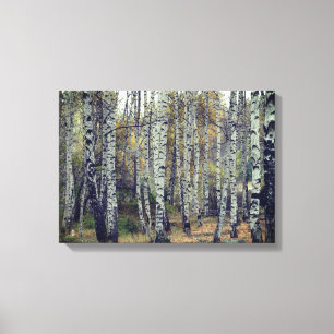 berk bos herfst foto single canvas afdruk