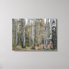 berk bos herfst foto single canvas afdruk