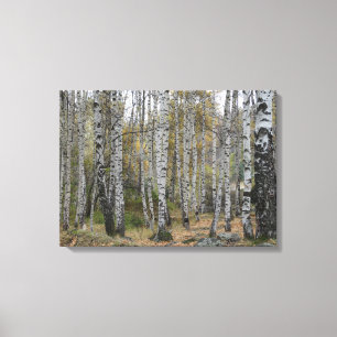 berk bos herfst foto single canvas afdruk