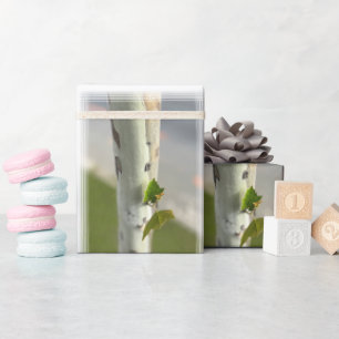 Berk langs de weg cadeaupapier