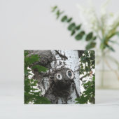 Berk Soul Tree Magic Gezichtsfotografie Briefkaart (Staand voorkant)
