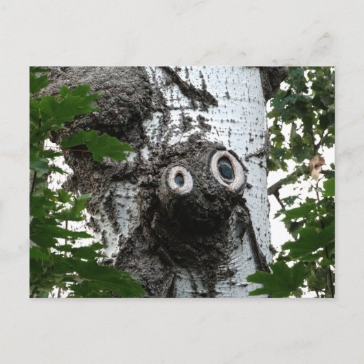 Berk Soul Tree Magic Gezichtsfotografie Briefkaart (Voorkant)