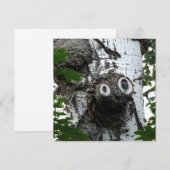 Berk ziel boom magische gezicht fotografie uitnodi kaart (Voorkant / Achterkant)