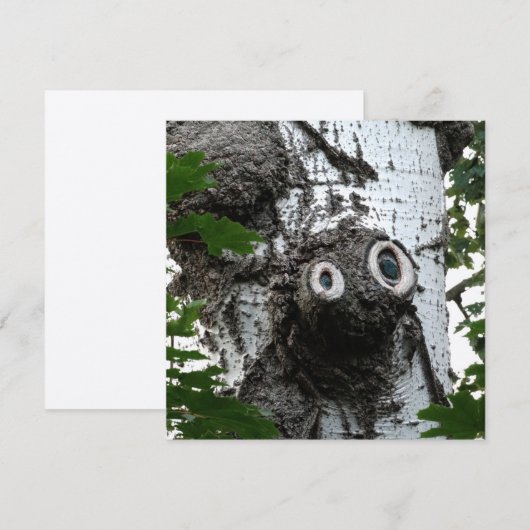 Berk ziel boom magische gezicht fotografie uitnodi kaart (Voorkant / Achterkant)
