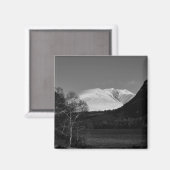 Berkboom en Blencathra-magneet Magneet (Voorkant / Achterkant)