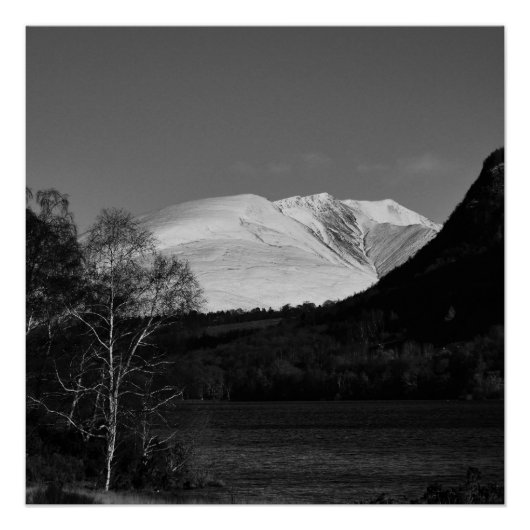 Berkboom en Blencathra Poster (Voorkant)
