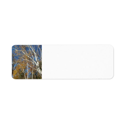 berkboom etiket (Voorkant)