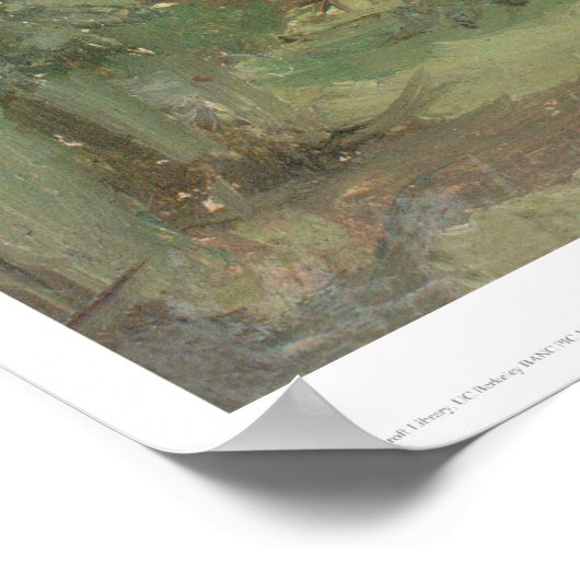 Berkeley over het hoofd gezien U. of California (0 Poster (Hoek)