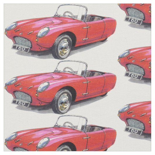  Berkeley T60 autostof Stof (Close Up)