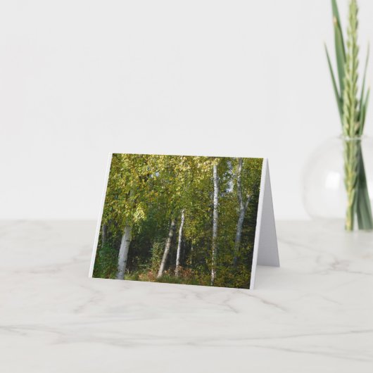 Berken Bomen Vouwbare Briefkaart (Voorkant)