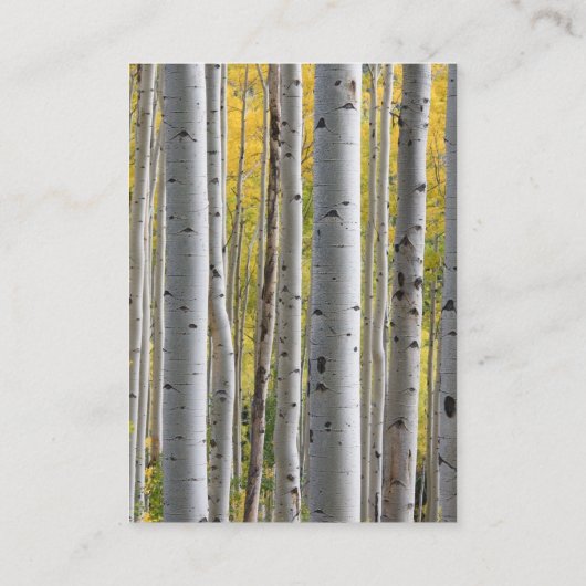 Berken boom hart rustieke bruiloft details kaart (Achterkant)