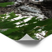 Berken Gezichtsboom Fotografie Waarde Poster Papie (Hoek)