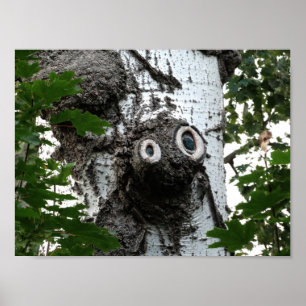 Berken Gezichtsboom Fotografie Waarde Poster Papie