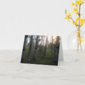 Berken in de Ochtend Kaart (Gele Bloem)