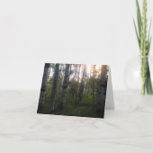 Berken in de Ochtend Kaart (Voorkant)