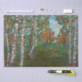 Berken in een Roemeens bos (door Kimon Loghi) Tissuepapier (Craft)
