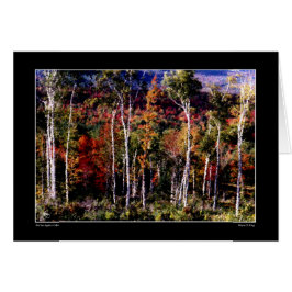 Berken tegen kleur Kaart