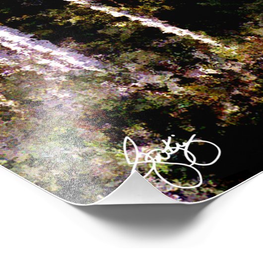 Berken tegen kleur Open Edition Print Foto Afdruk (Hoek)