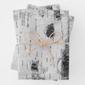 Berkenbast patroon inpakpapier vellen (In situ)