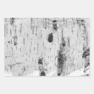 Berkenbast patroon inpakpapier vellen