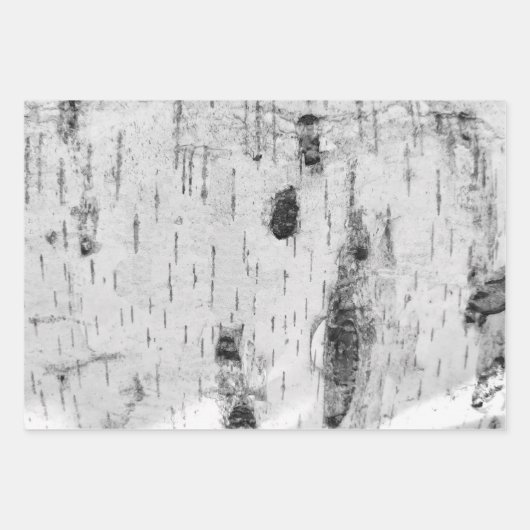 Berkenbast patroon inpakpapier vellen (Voorkant)