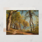 Berkenbomen aan de kust |  landschap briefkaart (Voorkant / Achterkant)