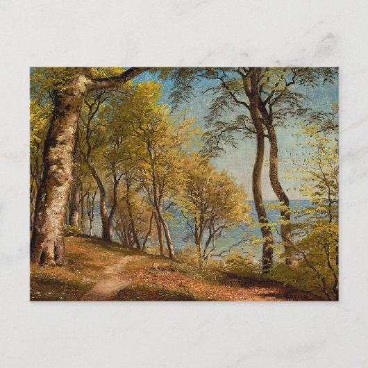 Berkenbomen aan de kust |  landschap briefkaart (Voorkant)