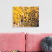 Berkenbomen in de buurt van Denali Alaska, Herfst, Canvas Afdruk (Insitu (Woonkamer))