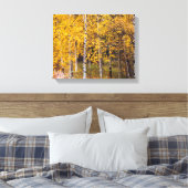 Berkenbomen in de buurt van Denali Alaska, Herfst, Canvas Afdruk (Insitu (Slaapkamer))