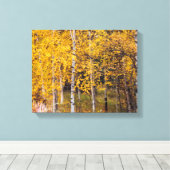 Berkenbomen in de buurt van Denali Alaska, Herfst, Canvas Afdruk (Insitu (Houten vloer))