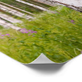 berkenbomen in Finse bossen Poster (Hoek)