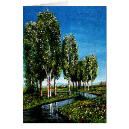BERKENBOMEN IN TUSCANIE (Voorkant)