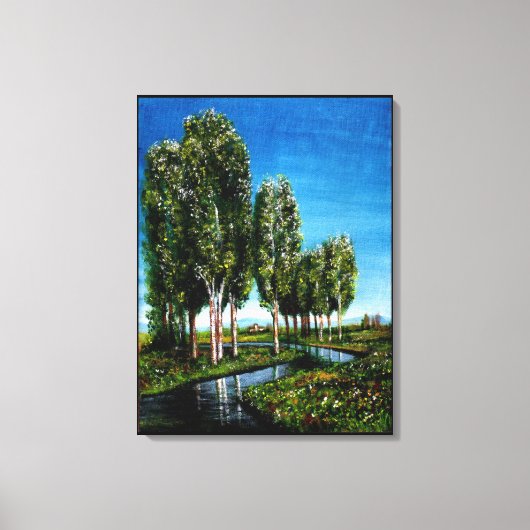 BERKENBOMEN IN TUSCANIE CANVAS AFDRUK (Voorkant)
