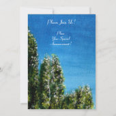 BERKENBOMEN IN TUSCANIE KAART (Achterkant)