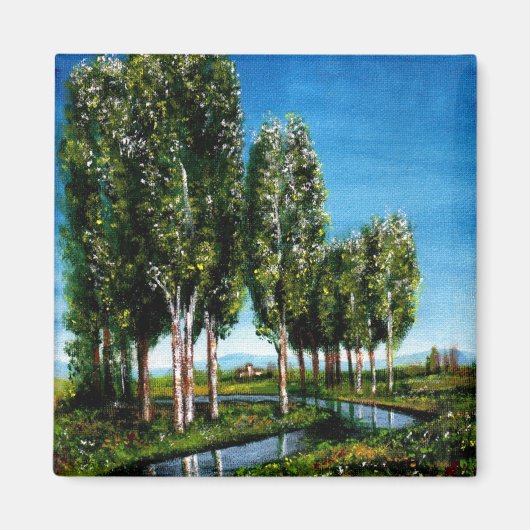 BERKENBOMEN IN TUSCANIE MAGNEET (Voorkant)