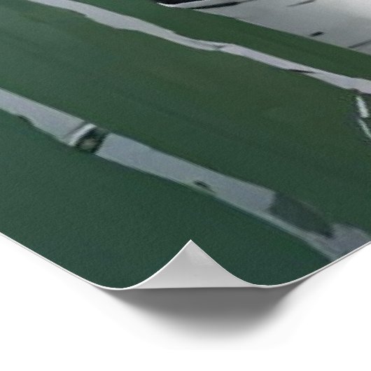 Berkenbomen Print Modern Natuur Poster (Hoek)