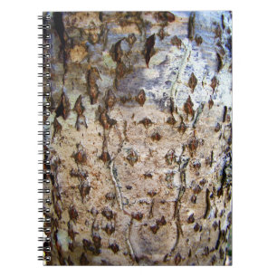 Berkenboom Bark Foto Notitieboek