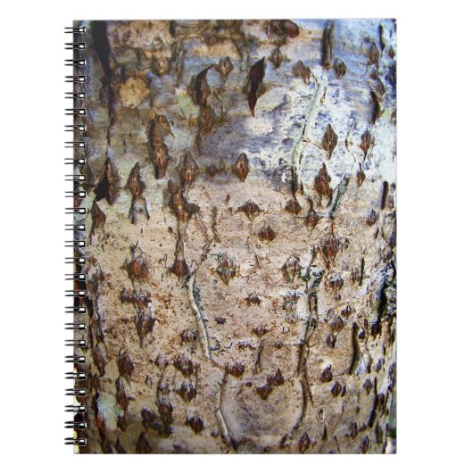 Berkenboom Bark Foto Notitieboek (Voorkant)