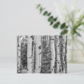 Berkenboom in Bossen Briefkaart (Staand voorkant)