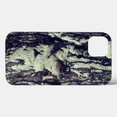 Berkenboom iPhone 6/6s, Stoere Xtreme Case-Mate iPhone Case (Achterkant (horizontaal))