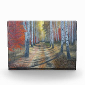 berkenboompje fotoblokken (Voorkant)