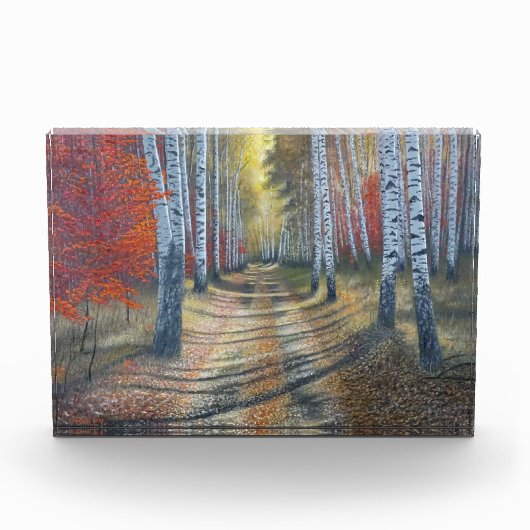 berkenboompje fotoblokken (Voorkant)