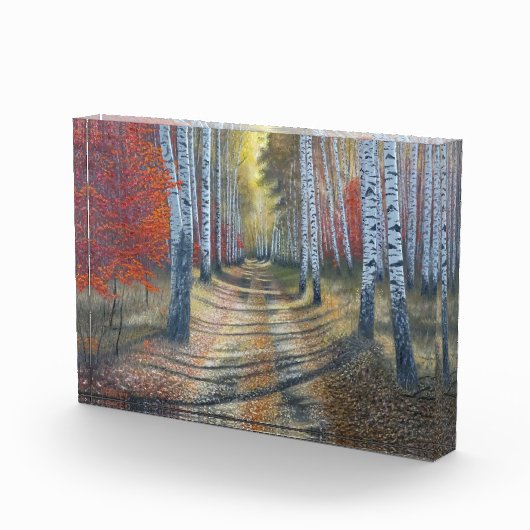 berkenboompje fotoblokken (Rechts)