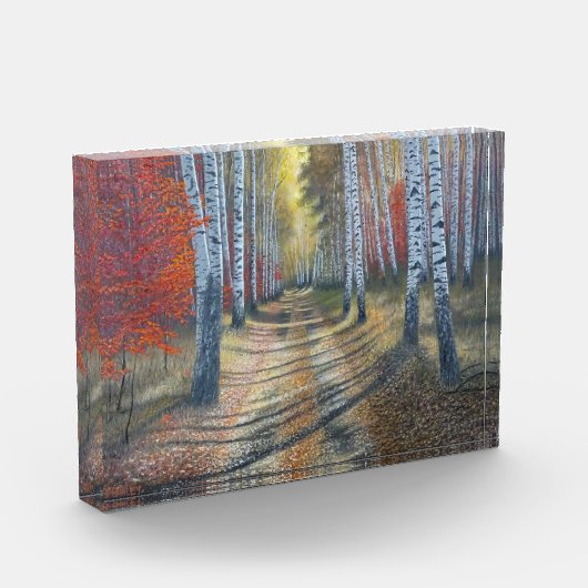 berkenboompje fotoblokken (Links)