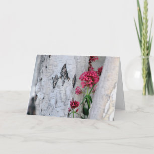 Berkenboomschors textuur kaart